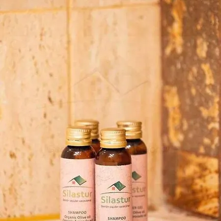 Apartment Gaviotas Playa By Silastur *