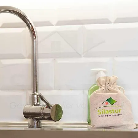 Apartment Gaviotas Playa By Silastur Gijon