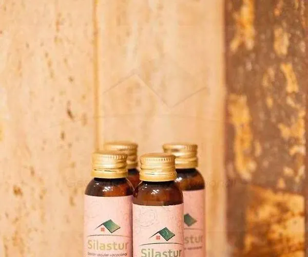 Apartamento Gaviotas Playa By Silastur *